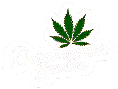 Daydreamer Genetics Logo